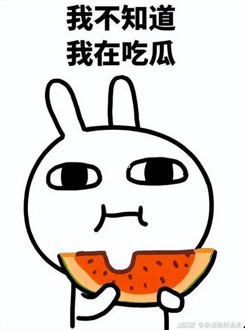 胖虎吃瓜频道,揭秘娱乐圈幕后真相，带你领略明星们的真实生活