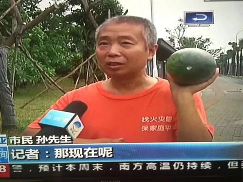 421事件吃瓜群众,吃瓜群众视角下的网络舆论风暴