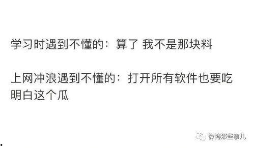 季风吃瓜知乎,一场别开生面的夏日食趣之旅