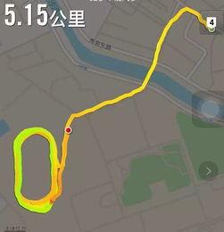 跑家里吃瓜群众,揭秘家庭娱乐新风尚