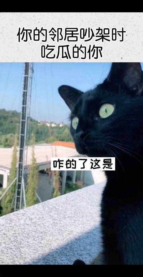 吃瓜瞬间吵架,一场舌尖上的口水战