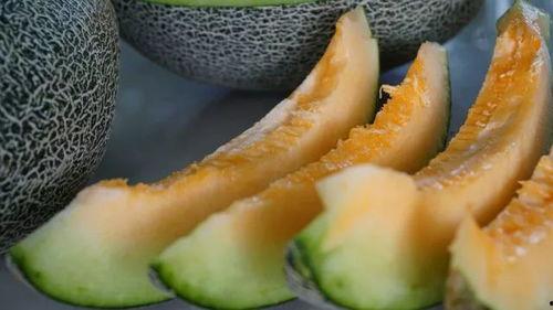 清凉夏日吃瓜帅哥,邂逅吃瓜帅哥的悠闲时光