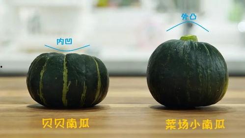 吃瓜吃真瓜,吃瓜群众的真实瓜田之旅