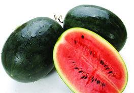 ntplayer吃瓜源,带你走进娱乐圈幕后风云