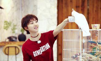 吃瓜大神景甜,揭秘娱乐圈背后的那些事儿