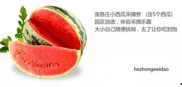 闻味吃瓜,揭秘夏日消暑美食之旅