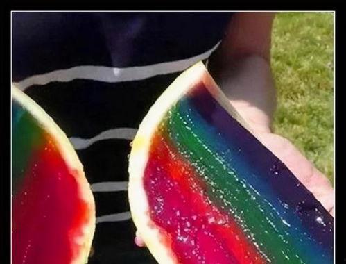 豆豆吃不饱吃瓜,从吃不饱到爱上吃瓜的奇妙旅程