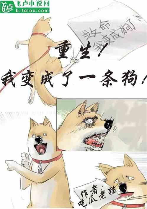 小说全线吃瓜,一场全民狂欢的瓜田盛宴