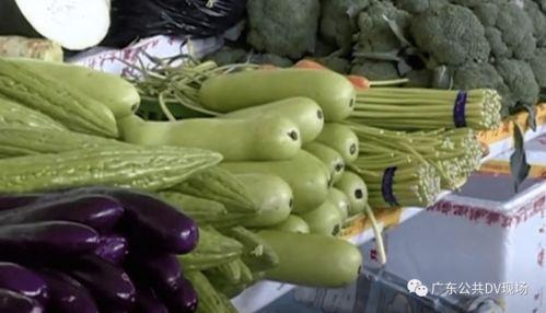 广州吃瓜中毒,意外中毒背后的食品安全警示