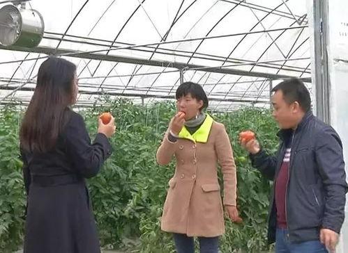 冬天太冷吃瓜群众,冬日暖阳下的“吃瓜”狂欢