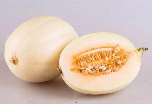 广东惠州吃瓜男,揭秘校园里的“瓜田”趣事