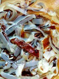 海蜇吃瓜,探寻海洋中的“吃瓜高手”