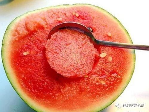 吃鱼 吃瓜,探寻美食与生活的和谐交响