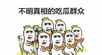 形容吃瓜群众吃的瓜的词语,揭秘吃瓜群众热捧的瓜之奥秘