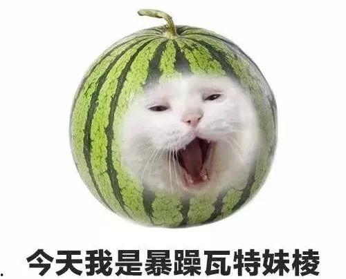 暴躁财经吃瓜,揭秘吃瓜背后的财经风云