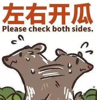 暴躁财经吃瓜,揭秘吃瓜背后的财经风云