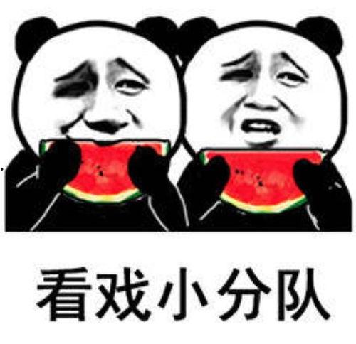 吃瓜表情好欠揍图片,好欠揍的“瓜民”众生相