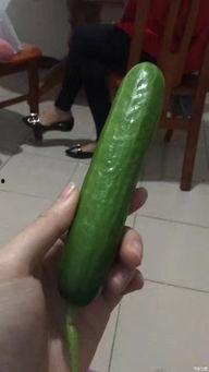 阿姨吃绿色的瓜,阿姨的夏日美味选择