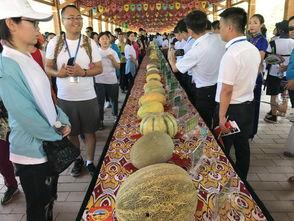 吃瓜观众在,吃瓜观众视角下的明星幕后故事