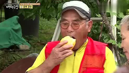 韩综吃瓜的人,一场娱乐与现实的交织盛宴