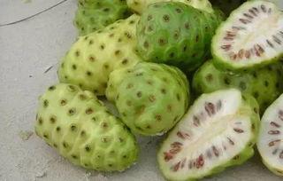 兜儿吃瓜,揭秘娱乐圈那些不为人知的幕后故事