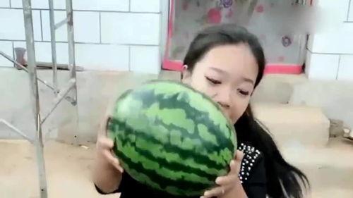 小扬爸爸吃瓜,小扬爸爸的瓜田奇遇记