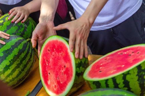 河南某学院吃瓜,揭秘校园内幕，真相大白！