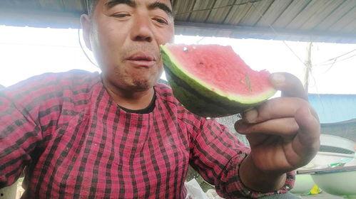 二哥吃瓜,揭秘娱乐圈背后的那些事儿