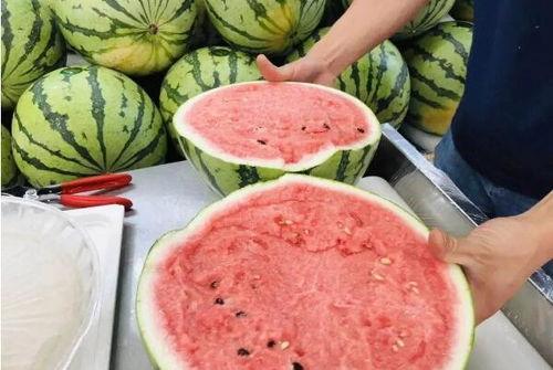 吃瓜和西瓜的区别