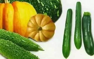 东京阿鸡吃瓜,揭秘日本街头吃瓜文化