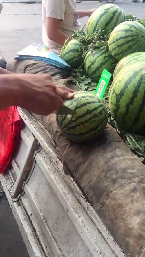 今年流行吃的瓜