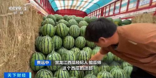 链家吃瓜,揭秘房产中介行业的那些事儿